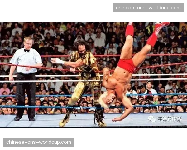 战术板:德瑞克·布伦森如何运用摔跤克制站立高手